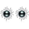 image:imagePearl Earrings for Women With Genuine 810mm AAAA Quality Grey Tahitian Cultured Pearls Earring  925 Sterling Silver Plated 18K Gold Pearl Gifts for Women Her Grandma Wife
