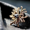 image:imageGifts for Wife Anniversary Brooch for Women Pearl Brooch Real AAA Quality Handpicked Nature Pearls and D Color Moissanite  Gifts for Mom Girlfriend Her NO11208