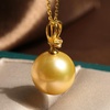 image:imageWife Jewelry Plated 18K Gold  Genuine South Sea Golden Pearl Jewelry Pendant Necklace for Women Birthday Jewelry for Girlfriend Valentines Day for Wife Mothers Day for Mom Grandma NO11254
