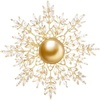 image:imageNONNYL Elegant South Sea Golden Pearl Brooch Pins Costume Jewelry For Women Fashion Christmas Gifts Wife Mom Girlfriend Anniversary Birthday Fine Jewelry Gifts for Her NO2266