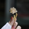 image:imagePearl Brooch Jewelry For Women Jewelry Fashion Christmas Gifts Wife Mom Girlfriend Anniversary Birthday Fine Jewelry Gifts for Her NO11567