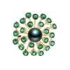image:imageBlack Tahiti Pearl Brooch Broches Jewelry For Women Fashion Christmas Gifts Wife Mom Girlfriend Anniversary Birthday Fine Jewelry Gifts for Her NO11363