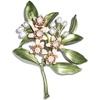 image:imageGifts for Wife Anniversary Brooch for Women Pearl Brooch Real AAA Quality Handpicked Nature Pearls and D Color Moissanite  Gifts for Mom Girlfriend Her NO11185